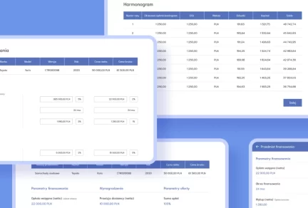 orm view of financial parameters and payment schedule from the Automatyzacja procesów leasingowych w kanale partnerskim project
